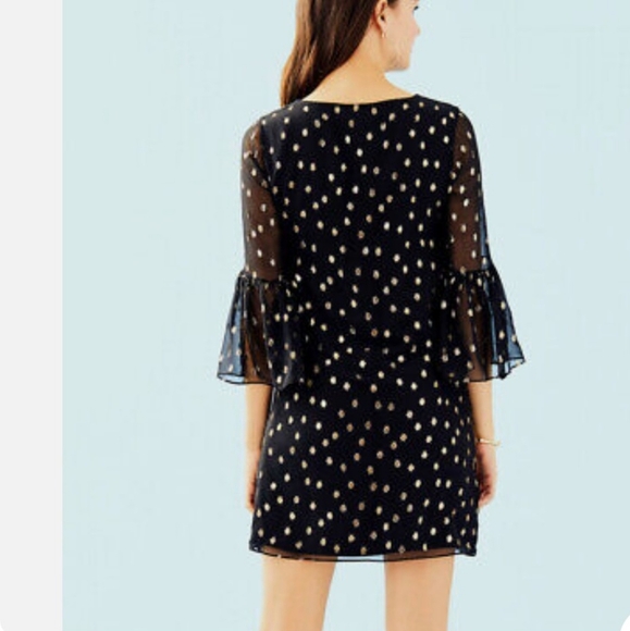 NEW Lily Pulitzer Caroline Silk Tunic Shift Dress Designer Celeb Style Luxury - Picture 4 of 14